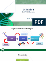 Do DNa À Proteína