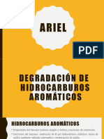 Presentacion Aromaticos