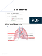 Histologia Do Coração