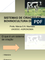 Sistemas de Criação em Bovinocultura de Leite Antigo