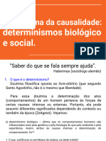 O Problema Da Causalidade - Determinismos Biológico e Social.