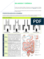Diarrea Aguda y Crónica