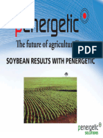 Penergetic and Soybeans Consolidated Report