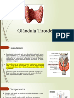 Glndulatiroides 160126015845
