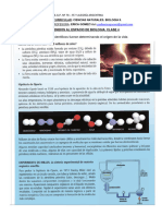 Biologia Segundo Año - Clase 4