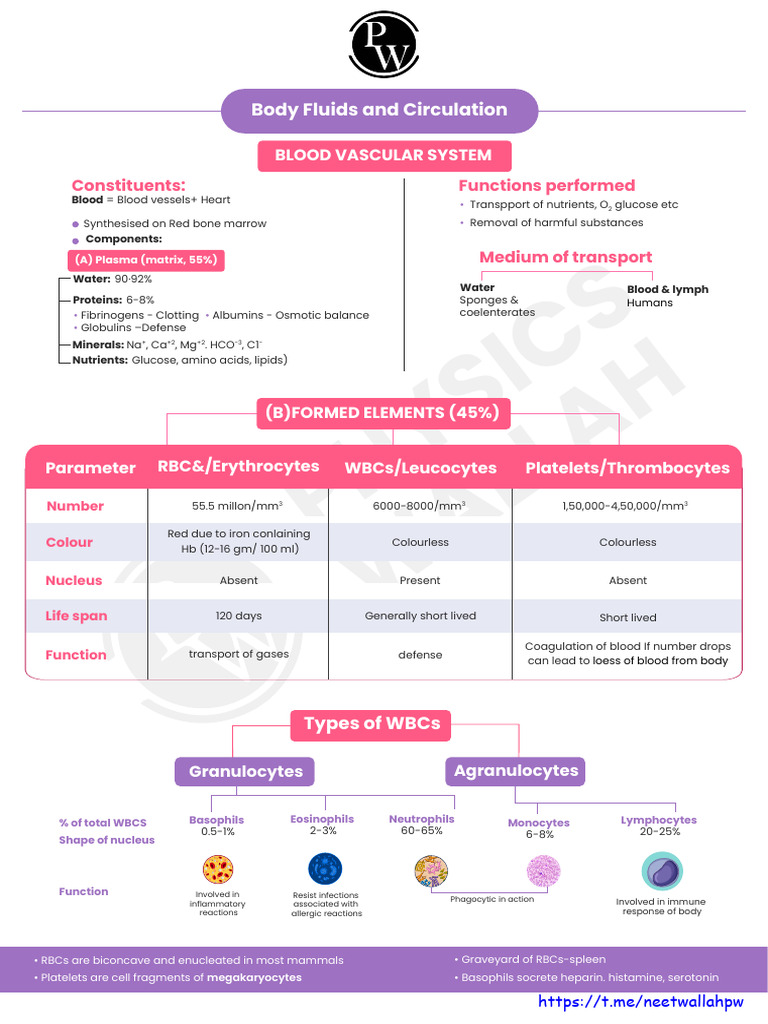 Human Blood and Circulatory System Overview | PDF | Atrium (Heart) | Heart