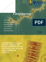 Fitoplâncton: Importância e adaptação à escassez de fósforo