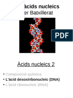 Acids Nucleics 2 DNA
