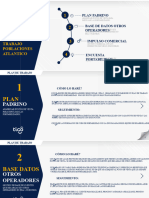 Plan de Trabajo Porta Poblaciones