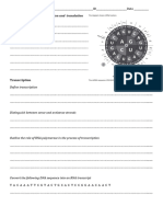 Proteinsynthesis Worksheet - pdf2024