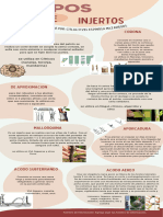 Infografia Evolucion Humana Ilustrado Colores Neutrales