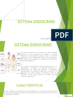 Sistema Endocrino