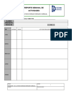 01 Reporte Semanal de Actividades