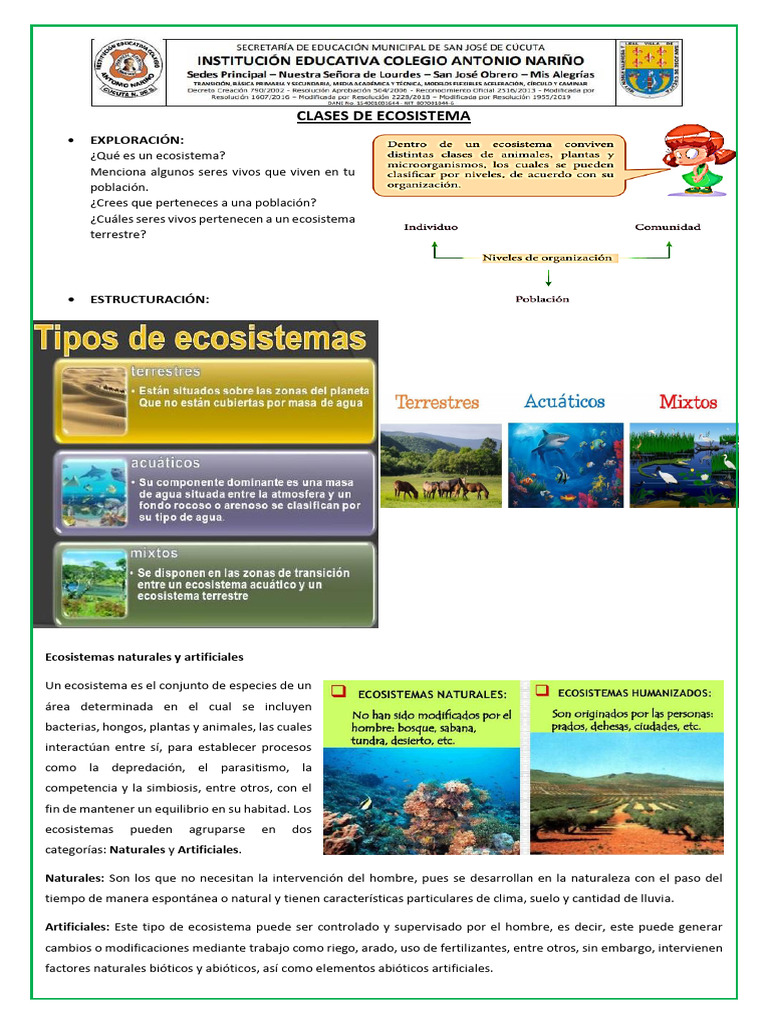 Clases de Ecosistemas: Naturales y Artificiales | PDF | Ecosistema | Suelo