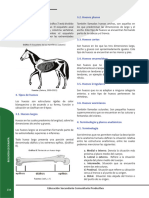 Sem 7 Bio - Min Educ 4to Sec 1t - Unidad 9 Términos y Planos