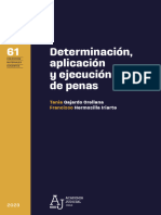 MD61 Determinacion Aplicacion y Ejecucion de Penas