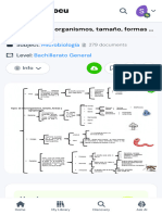 Tipos de Microorganismos, Tamaño, Formas y Agrupa