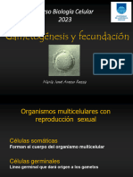 Gametogenesis y Fecundacion 2023