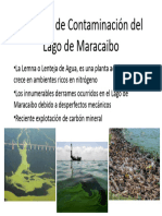 Fuentes de Contaminación Del Lago de Maracaibo