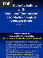 Download Multiple-labeling with Immunofluorescence by api-3821304 SN7109566 doc pdf