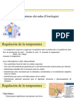 Temperaturas Elevadas La Fisiologia