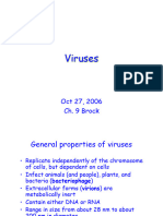 Virus Slides