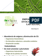 Importancia Evolutiva de Las Algas.