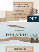 Liderazgo Industrial