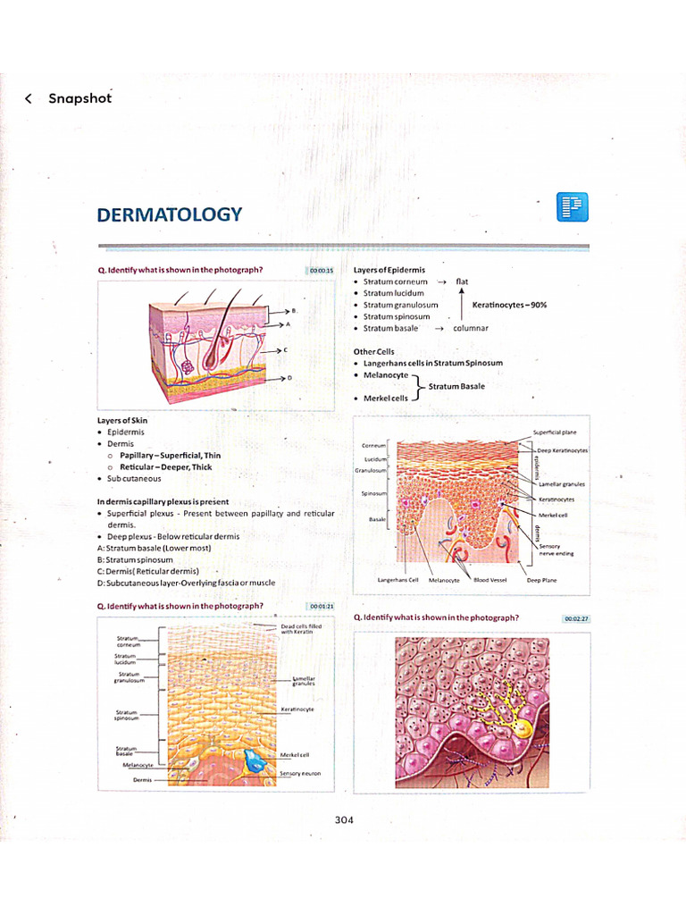 Derma SnapShot | PDF