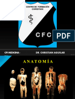 CFC 2014 - Articulaciones Mi