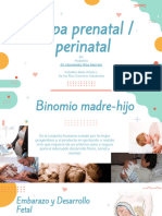 Etapa Perinatal - Prenatal