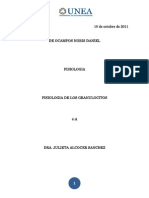 Fisiologia de Los Granulositos