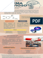 Neurotransmisor Adrenalina - MAMG - UASLP