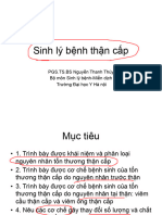 Lec13 (SLB) Bệnh thận cấp