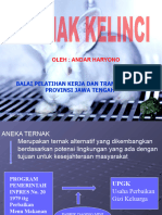 Jenis Kelinci Kandang, Pakan