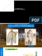 Osteologia de Columna Vertebral 2022