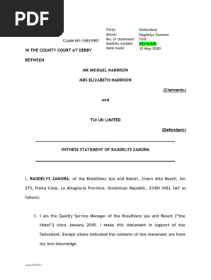 Draft Witness Statement