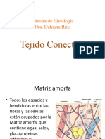 Tejido Conectivo 2