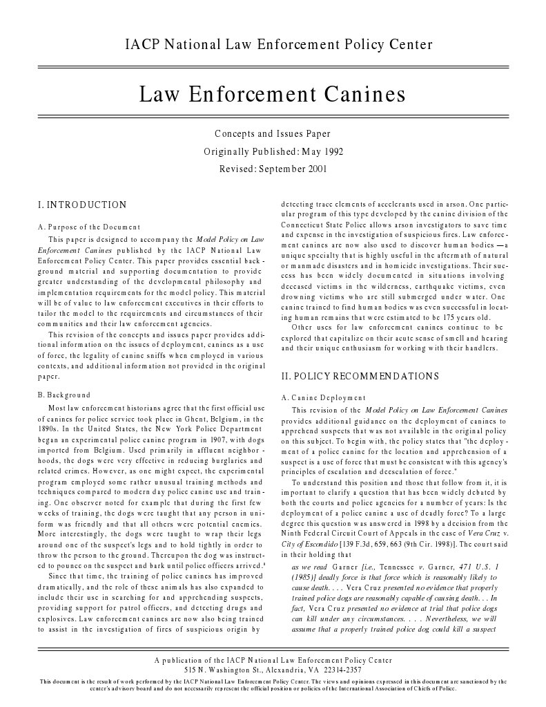 Excessive force essay image