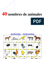 40_nombres_de_animales