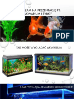 Prezentacja 5 Akwarium I Rybki