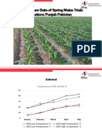 Temperature Corn Areas Punjab-Pakistan