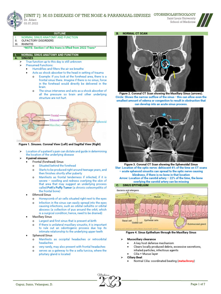 (Unit 7) M.03 Diseases of The Nose and Paranasal Sinuses | PDF ...