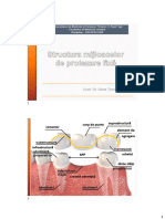 Curs 16 - Proteza Fixa - Structura Mijloacelor Protetice 2021 - Corpul de Punte - Suport Curs