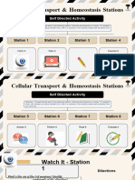Adalae - Cellular Transport & Homeostasis Stations