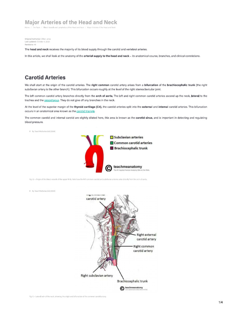 CAROTID ARTERY FUNCTION IN CIRCULATORY SYSTEM intelligence overview