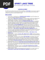 Download 20111101 Lawsuit Fact Sheet Final by Rob Port SN71102807 doc pdf