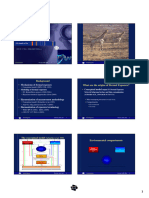 Dermal Exposure Harmonisation of Terminology