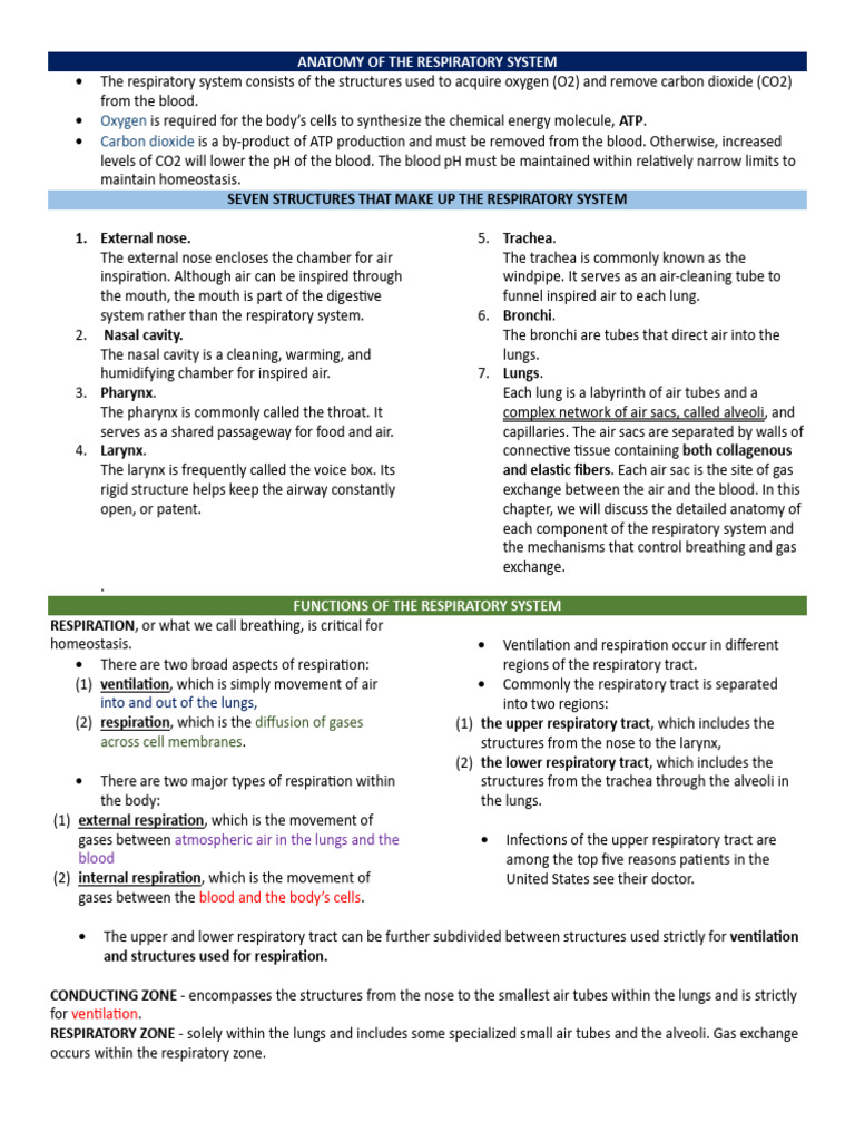 Anatomy and Functions of the Respiratory System | PDF | Lung ...