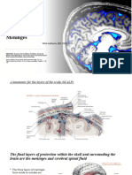 MENINGES - Anatomy of Dura Matter, Pia Matter